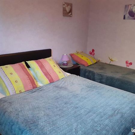 Chambres D'Hotes Les Nefliers Amboise Luaran gambar