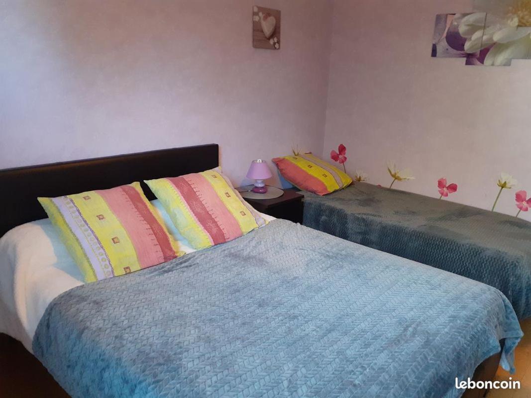 Chambres D'Hotes Les Nefliers Amboise Luaran gambar